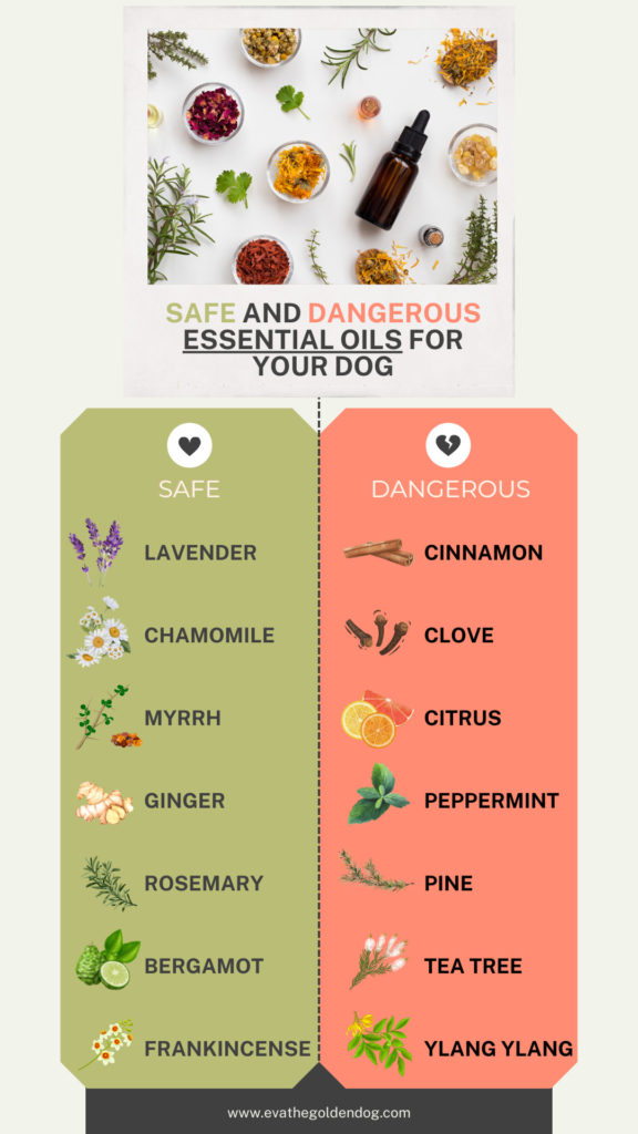 Are Essential Oils Safe for Dogs?